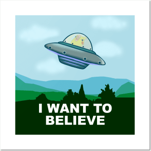 ufo birb Posters and Art